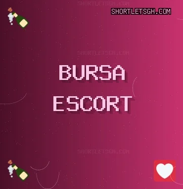 Bursa Escort: Harmancık Escort, Nilüfer Escort, Gürsu Escort